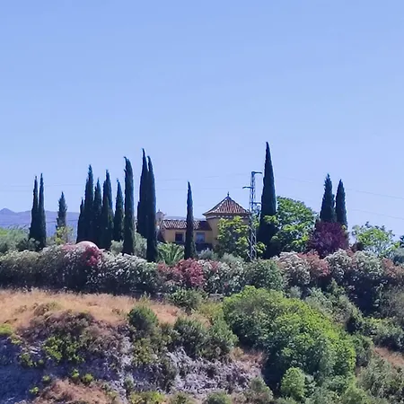 Andalusian Experience