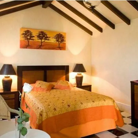 Andalusian Experience