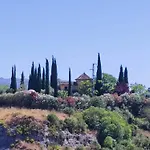 Andalusian Experience