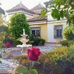 Andalusian Experience