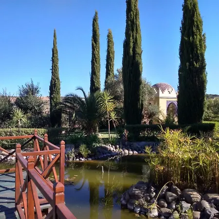 Andalusian Experience