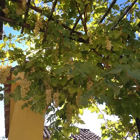 Andalusian Experience 빌라