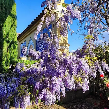 빌라 Andalusian Experience *