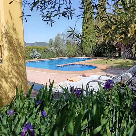 Andalusian Experience
