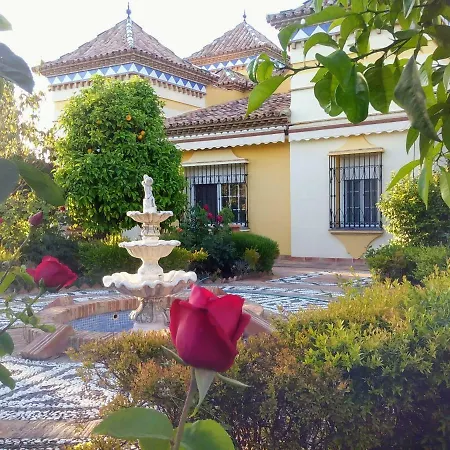 Andalusian Experience