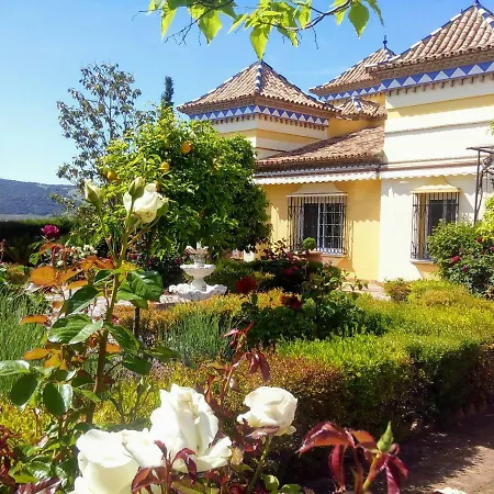 Andalusian Experience * روندا