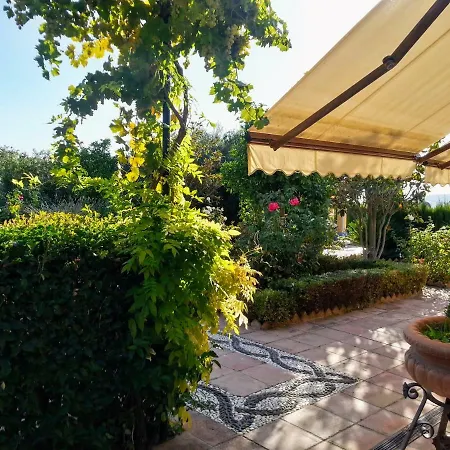 Andalusian Experience روندا