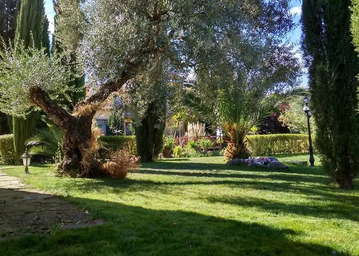 Andalusian Experience