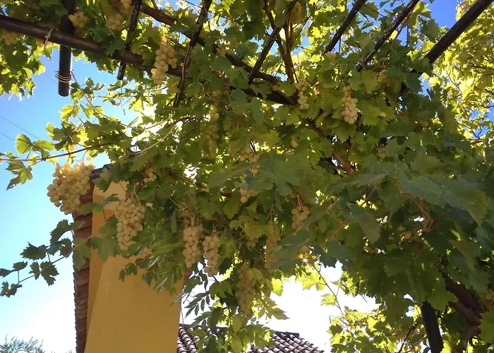 Andalusian Experience 빌라