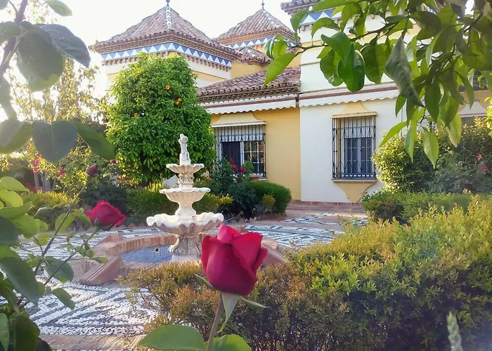 Andalusian Experience