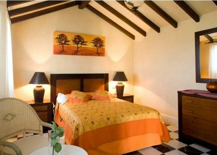 Andalusian Experience