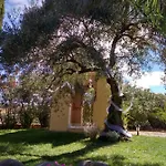 Andalusian Experience