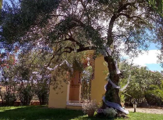 Andalusian Experience