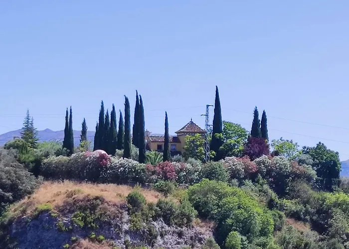 Andalusian Experience