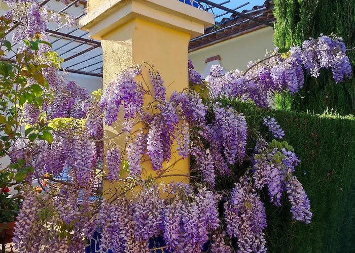 Andalusian Experience Вілла