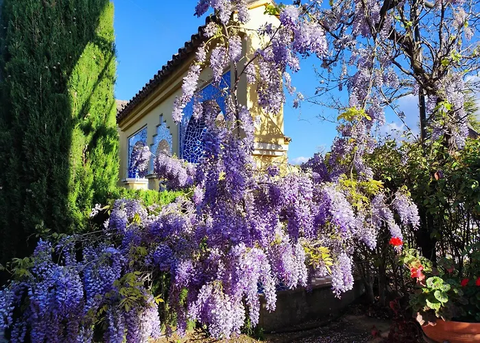 Вілла Andalusian Experience *